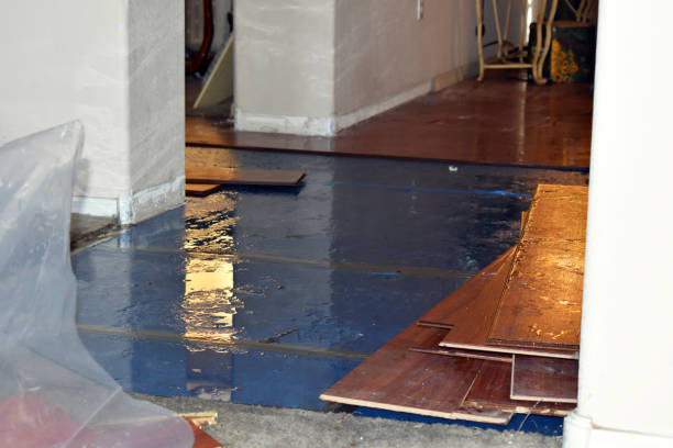 Professional Basement Water Removal technician working in Munroe Falls, OH